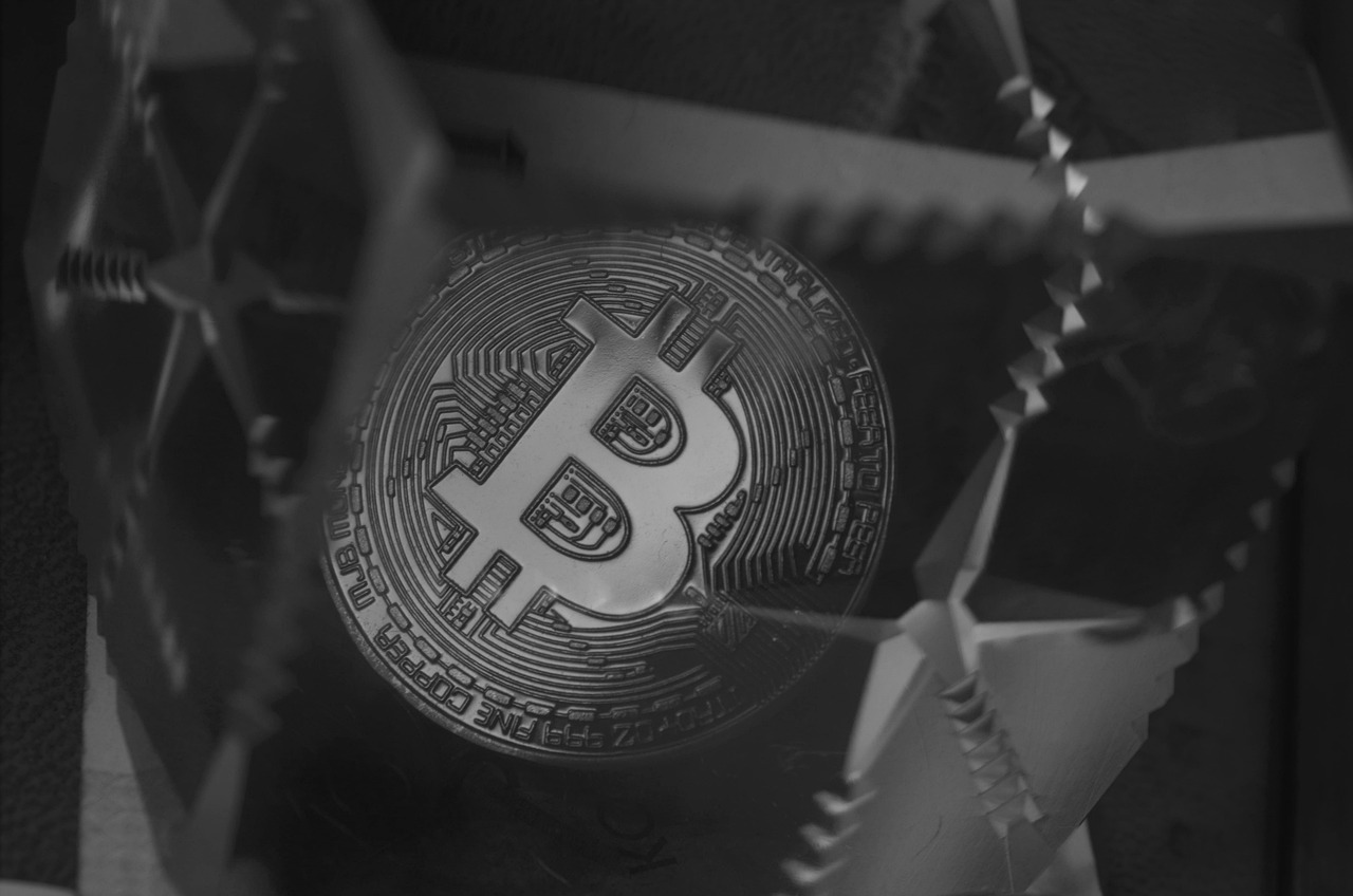Investing Safely: Risks in the Stock Market